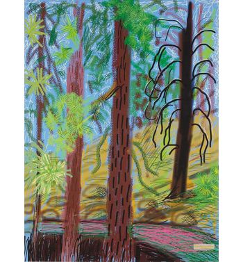 Untitled No, 6 From The Yosemite Suite, 2010