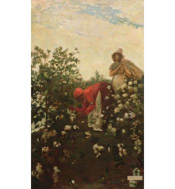 Upland Cotton 1875