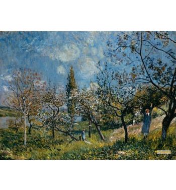 Orchard In Spring