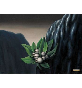 Labime Flowers