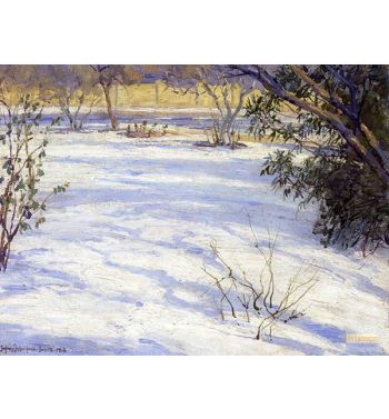Snowy Landscape