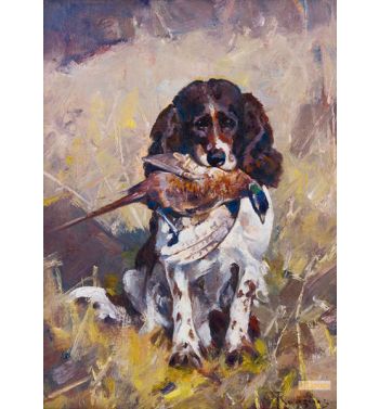 Spaniel Dickey with Pheasant