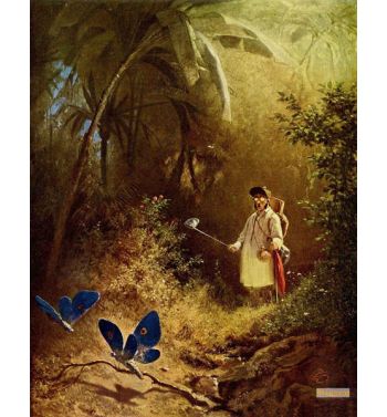 The Butterfly Hunter