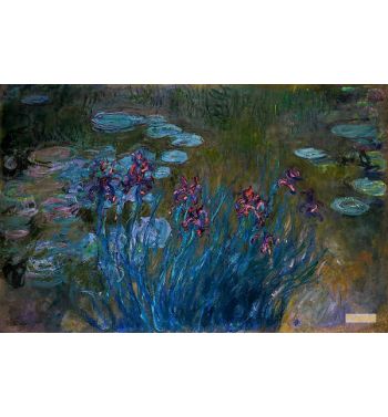 Irises And Water Lilies 1914-1917