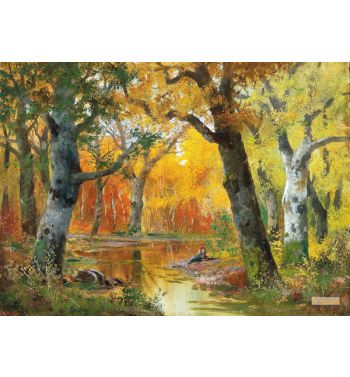 Autumn Woodland 2