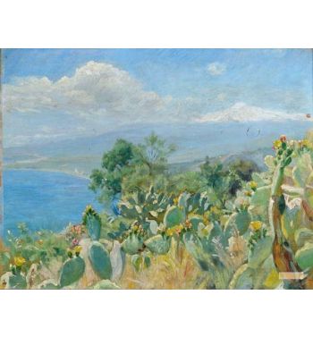 Flourishing Cacti Near Toarmina