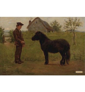 Le Dressage Du Pony