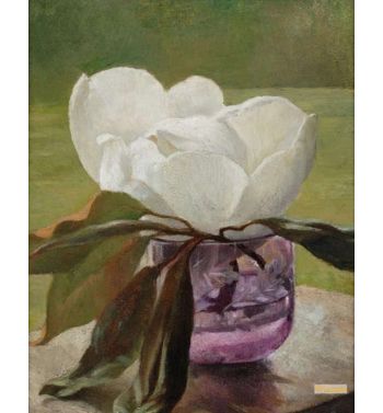 Magnolia Blossom