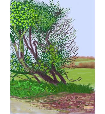 The Arrival Of Spring In Woldgate, 2