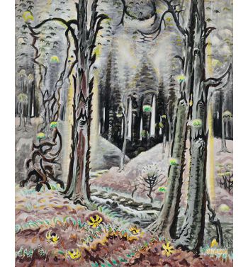 Maytime in the Woods