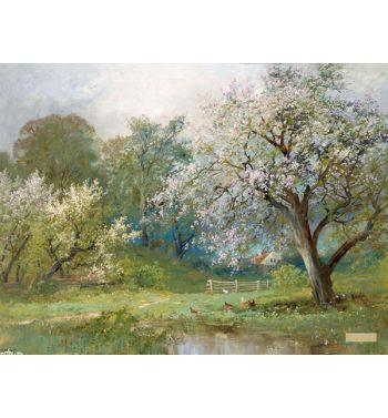 Landscape in Spring 2