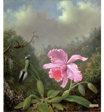Still Life With An Orchid And A Pair Of Hummingbirds C1890S