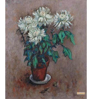Chrysanthemes