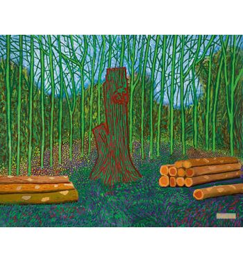 Arranged Felled Trees