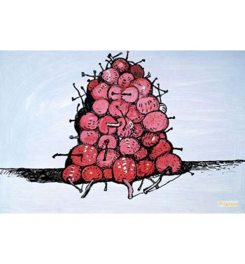 Cherries