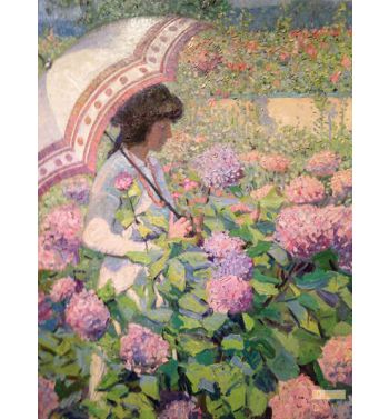 Hydrangeas