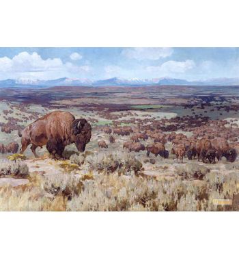 The Days of Bison Millions Looking West Toward the Wyoming Range
