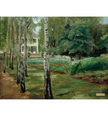 The Birch Avenue In The Wannseegarten To The West