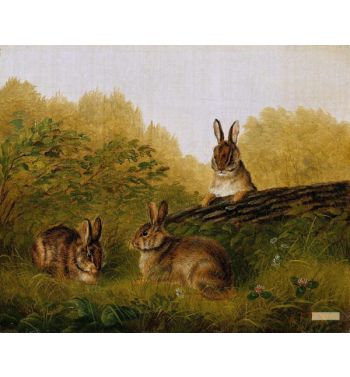 Rabbits On A Log 1897
