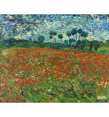 Poppy Field 1890