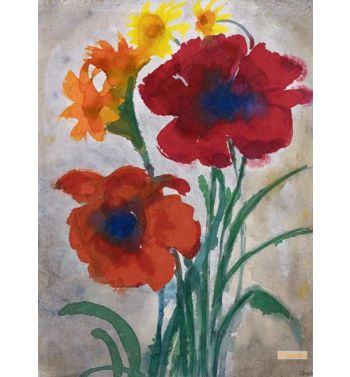 Red Poppy