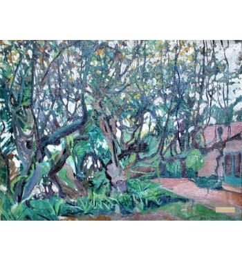 Flowering Carob Tree San Giorgio Maggiore Island Venice