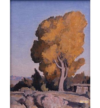 Low Country Cottonwood 1940