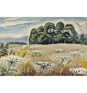 Queen Anne's Lace At Twilight