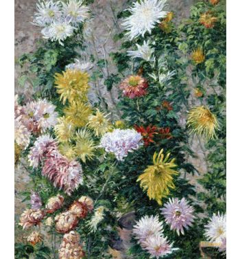 White And Yellow Chrysanthemums 1893
