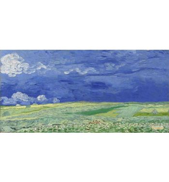 Wheat Field Under Clouded Sky