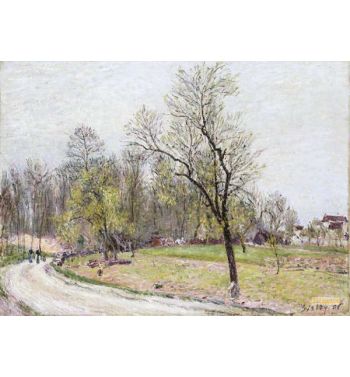 The Edge Of The Forest In Spring In Evening