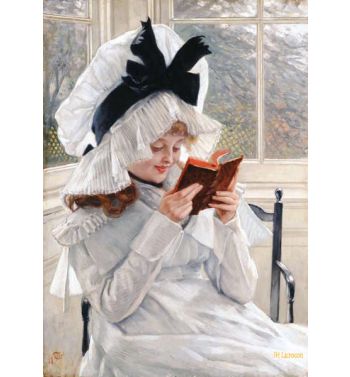 Reading A Book 1872 73