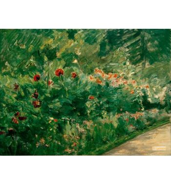Blossoms In The Vegetable Garden To The Southwest