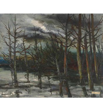 Degel In Forest