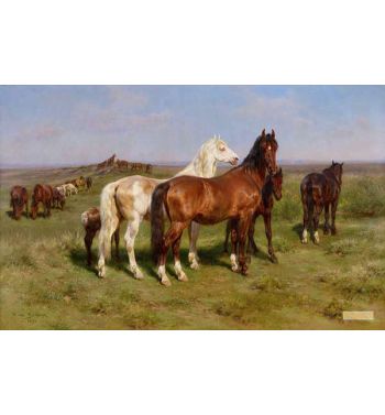 Horses In A Field 1890