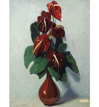 Anthuriums