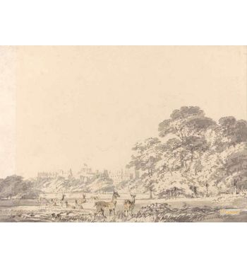 Windsor Castle And Park With Deer