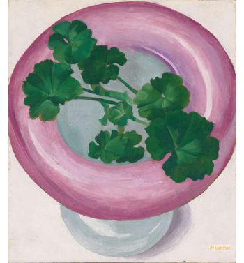 Geranium Leaves In Pink Dish 1938