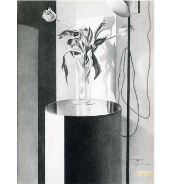 Tulips Suspended Forms, 2