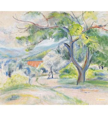 Mediterranean Landscape