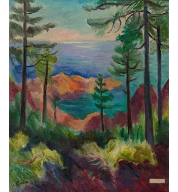 Agay, Esterel 1955