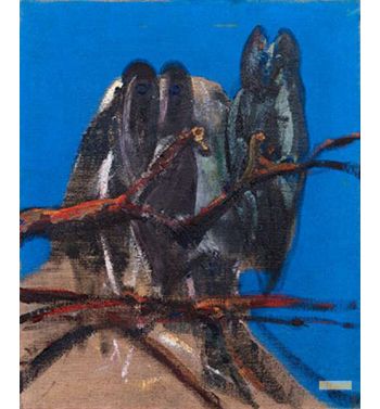Owls