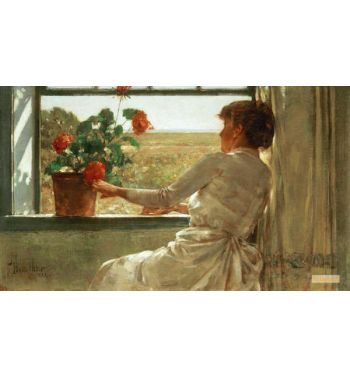 Summer Evening
