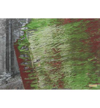 Untitled 12, 3, 92, 1992