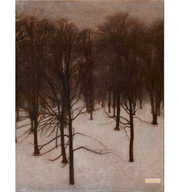Søndermarken Park In Winter