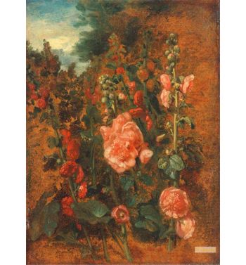 Study Of Hollyhocks