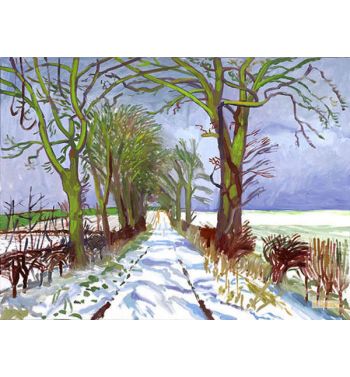 Winter Tunnel With Snow