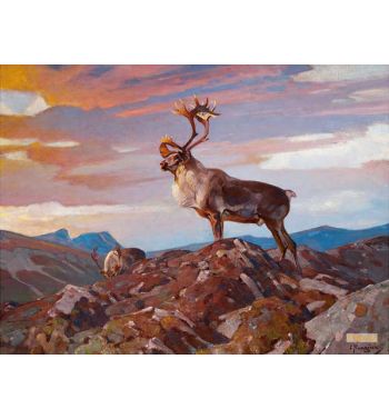 Caribou on the Tundra