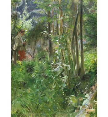 Sun In The Forest