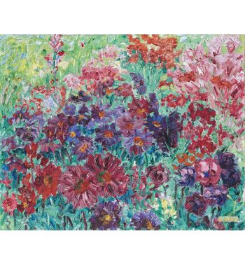 Violet Flowers